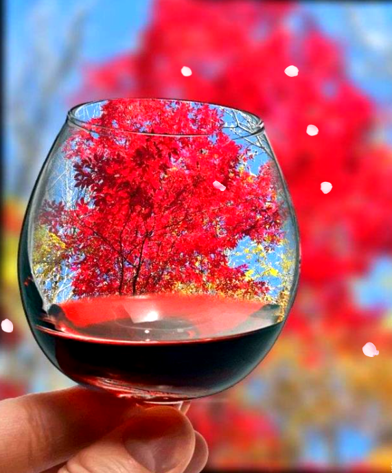 评阿莱杭德娜·皮扎尼克小诗《起源》（5则）