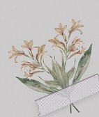 心灵上的山寨（荣获第十一届冰心散文奖）