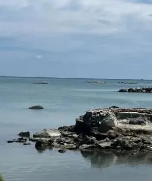 走在五月的热带雨林里