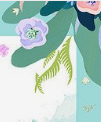 杏花与二月兰
