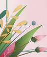 循着花香归来