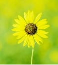 在周总理身边（口述历史-11）
