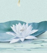 家父忆旧